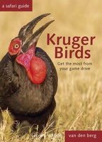 Kruger Birds