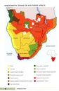 Natuurgids Stuart's Field Guide to Mammals of Southern Africa | Struik Nature