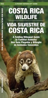 Costa Rica Wildlife