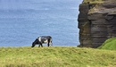 Fotoboek Irland | Tecklenborg