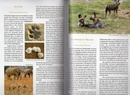 Reisgids - Natuurgids Luangwa | Hupe Verlag