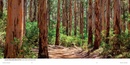 Fotoboek Beautiful World Australia - Australië | Lonely Planet