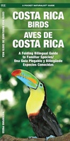 Costa Rica Birds