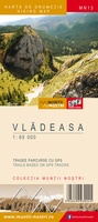 Vladeasa