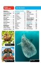 Reisgids Central America | Lonely Planet