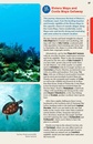 Reisgids Mexico | Lonely Planet