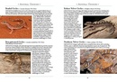 Natuurgids a Naturalist's guide to the Reptiles of Australia | John Beaufoy