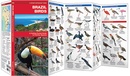 Vogelgids Brazil Birds - Brazilië | Waterford Press