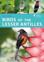 Birds of the Lesser Antilles