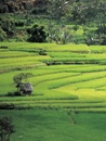 Fotoboek Bali - the legendary isle | Tuttle Publishing