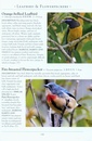 Vogelgids a Naturalist's guide to the Birds of Hong Kong | John Beaufoy