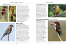 Vogelgids a Naturalist's guide to the Birds of India | John Beaufoy