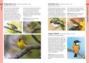 Vogelgids Birds of Bali, Sumatra and Java | Bloomsbury