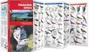 Vogelgids Panama Birds | Waterford Press