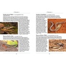 Natuurgids a Naturalist's guide to the Reptiles of Australia | John Beaufoy