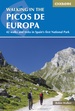 Wandelgids Walking in the Picos de Europa | Cicerone