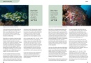 Duikgids Underwater Guide to Seychelles - Seychellen | John Beaufoy