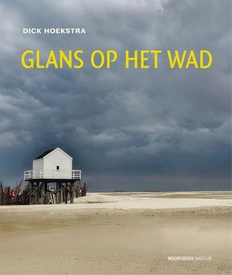 Reisverhaal Glans op het wad | Dick Hoekstra