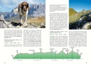 Reisgids - Wandelgids Hüttentouren mit Hund Alpen | Rother Bergverlag