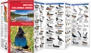 Vogelgids - Natuurgids British Columbia Birds | Waterford Press