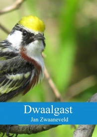 Reisverhaal Dwaalgast | Jan Zwaaneveld