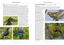 Vogelgids a Naturalist's guide to the Birds of New Zealand | John Beaufoy