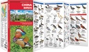 Vogelgids China Birds | Waterford Press